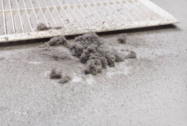 Best Emergency Air Duct Cleaning  in Douglas, GA